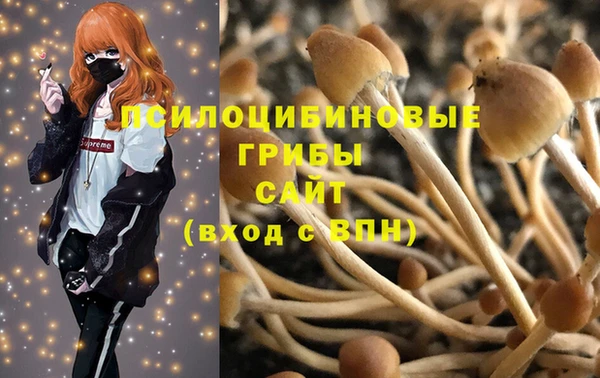 не бодяженный Богородицк