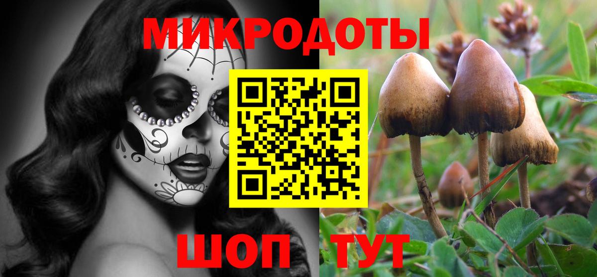 Волжск  Псилоцибиновые грибы Psilocybe  Вход с VPN  Псилоцибиновые грибы мицелий 
